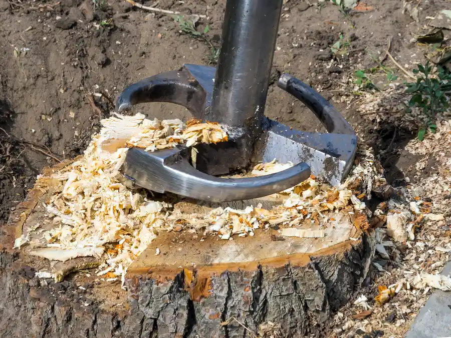Stump Grinding